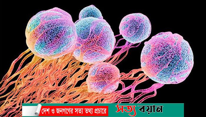 ক্যানসার থেকে বাঁচার উপায়-সত্যবয়ান