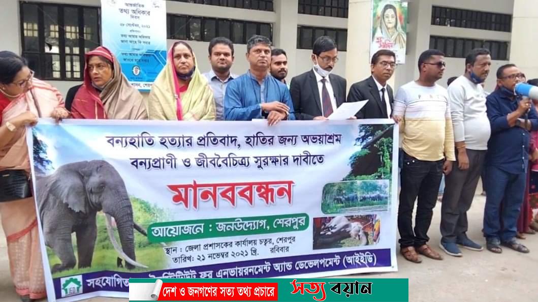 শেরপুরে বন্যহাতি হত্যার প্রতিবাদে মানববন্ধন-সত্যবয়ান