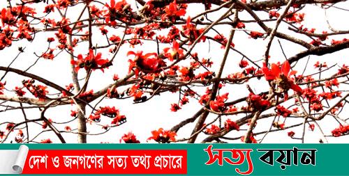 ফাগুনের আগুন লেগেছে শিমুল বাগানে