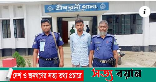 শ্রীবরদীতে গাঁজা ও ফেন্সিডিলসহ মাদক ব্যবসায়ী গ্রেফতার||সত্যবয়ান