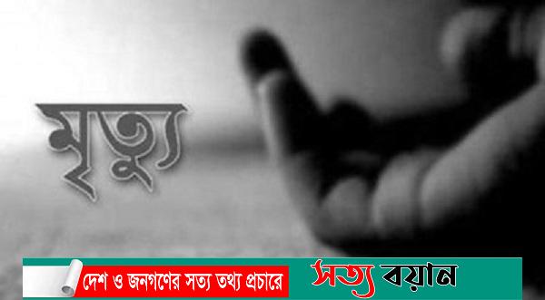 শেরপুরে বিদ্যুৎস্পৃষ্টে দুই কৃষকের মৃত্যু||সত্যবয়ান