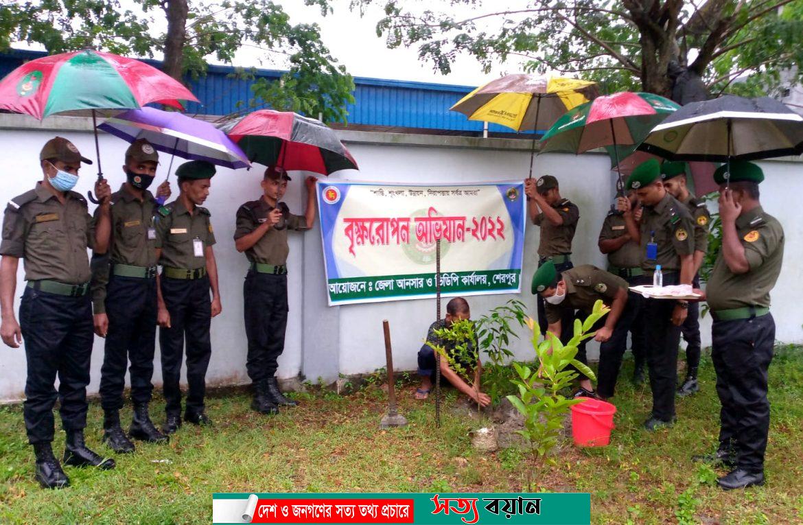 শেরপুরে বৃক্ষরোপন করলো আনসার ভিডিপি||সত্যবয়ান