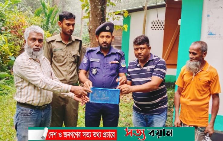শেরপুরে উদ্ধারকৃত তক্ষক গারো পাহাড়ে অবমুক্ত