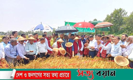 সরকার কৃষকদের উন্নয়নে কাজ করছে : কৃষিমন্ত্রী