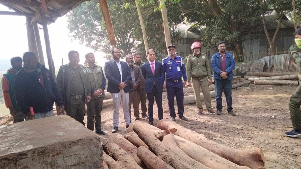শ্রীবরদীতে অবৈধ করাত কল বন্ধে উচ্ছেদ অভিযান, ৪ করাত কলের যন্ত্রাংশ ও অবৈধ কাঠ জব্দ