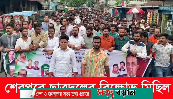 শেরপুরে ছাত্রদলের বিক্ষোভ মিছিল
