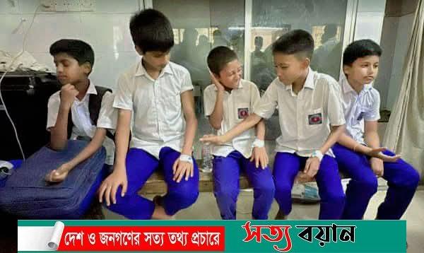 শেরপুরে ভিমরুলের কামড়ে ১৬ শিক্ষার্থী আহত