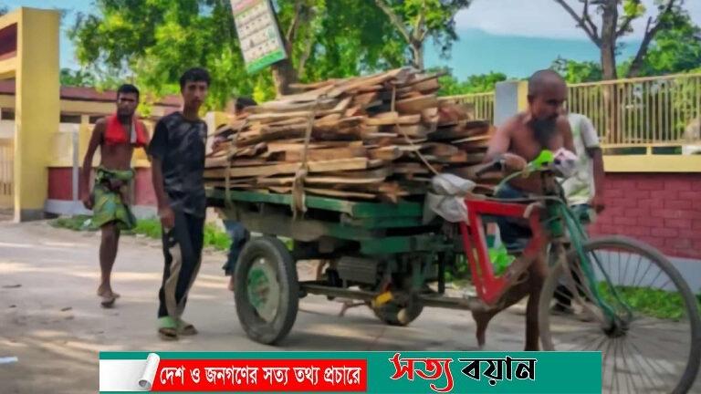 শেরপুরে ভ্যান উল্টে দাদা-নাতির মর্মান্তিক মৃত্যু
