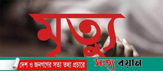 নকলায় বাবার বাড়িতে বেড়াতে এসে মেয়ের মৃত্যু