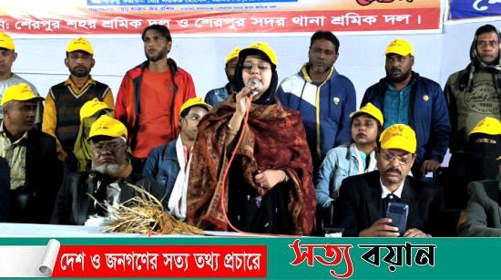 কারও মেডাম” এমপি সাহেবা হয়ে থাকতে চাইনা বোন হিসেবে থাকতে চাই পথসভায় ডা. প্রিয়াংকা